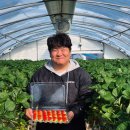 논산현대서비스 이미지