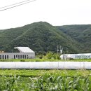 금소 투어코리아