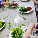 진도어린이집,삐아제어린이집 이미지