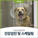 으뜸원동물병원 이미지