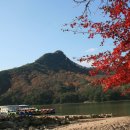 H8541 Daum카페