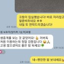 팰리스 독 이미지