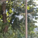 바카티오 이미지