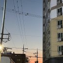 빠바복싱 네이버블로그