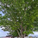 거산경로당 이미지