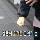 [시안] 4박 5일 패키지 1일차 (1): KE141 탑승 후기, 시안 공항 입국심사대에서 잡혀서 겨드랑이 오픈한 썰