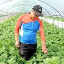 야훼농장 이미지