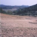 귀천농장 Daum카페
