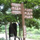 동원촌 | 이강년 의병장의 문경새재 전투유적 재조명