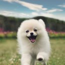 자연주의약국 이미지