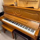 음악나무피아노 | 양천구실용음악학원 피아노 레슨 후기