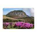 한라산을바라보는쉼터 이미지