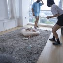 오엠스튜디오 이미지