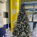 신기 1 신기1구경로당 | 일산 맛집 대형카페 브런치와 빵이 맛있는 빽다방 빵연구소 화정 DT점 방문 후기