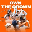 라이프플러스 이미지