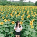 김경숙농장 이미지