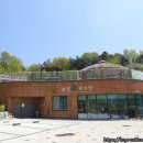 솔빛숲유치원 이미지