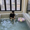 동행키즈풀빌라펜션 | [강릉 사천면] 동행키즈풀빌라펜션 내돈내산 솔직후기