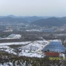 검율육교