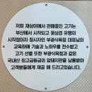 교동식육점