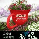 보람모터스 이미지