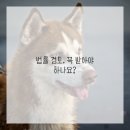 법무법인미래