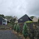 스테이만디 이미지