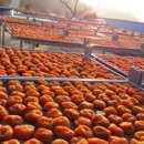 부자농장 이미지