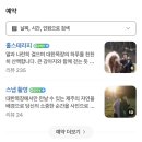 평화목장 | 제주 목장카페 말구경가능한 감성폭팔 대한목장 솔직후기