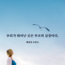 르솔트