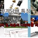 오벨전자담배 네이버블로그