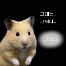 (주)스파크랜드 이미지
