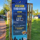 (유)행운교통 | 대전축제 여름축제 가볼만한곳 2025 유성재즈 맥주페스타 꿀팁 후기