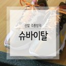 슈바이탈 이미지