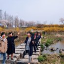 일암천 네이버블로그
