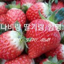 덕산리경로당 이미지