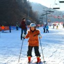 화랑 합기도 무무관 이미지