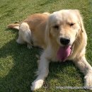 두아름농장 이미지