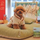 월드타워2 앞 이미지