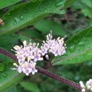 어침이공원 이미지