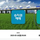 금빛 이미지