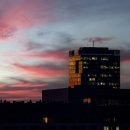 도약 행정사 사무소 이미지