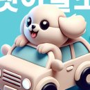 강아지이발소 이미지