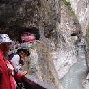 아차실지 이미지