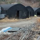 산장농원 이미지
