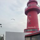 황새바위낚시 | 시흥 드라이브 코스 오이도 빨간등대, 생명의 나무, 꼭 가야 할 카페 추천