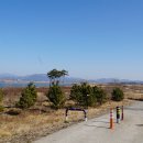 대산문화체육공원(야구장) 이미지