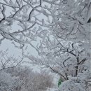 영신사슴농장 이미지