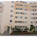 남양새봄약국 이미지