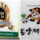 동양체육사